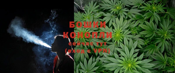 мескалин Новозыбков