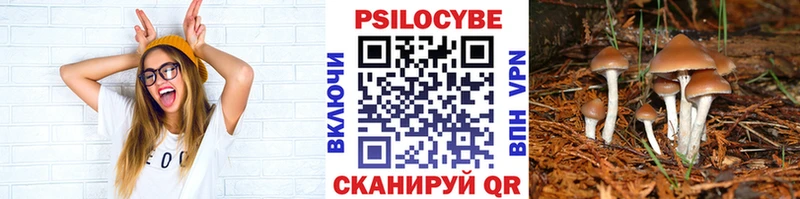 Галлюциногенные грибы Psilocybine cubensis  купить   Оха 